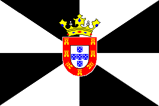 bandera de la Comunidad Autonoma
